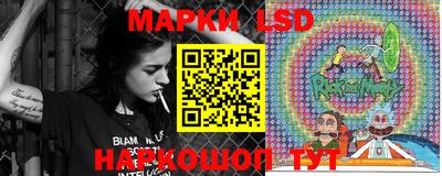 тгк Дмитров