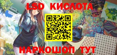 тгк Дмитров