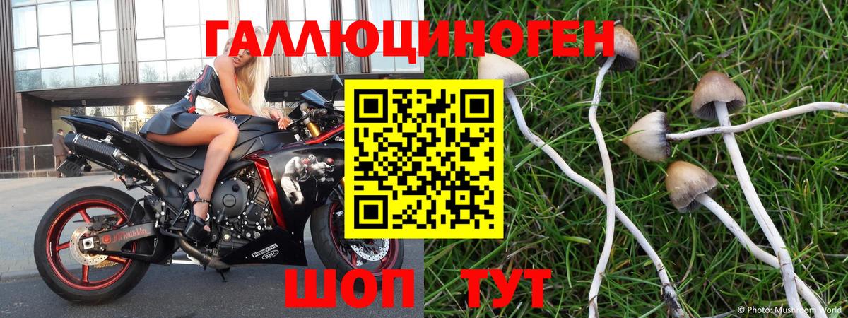 Галлюциногенные грибы прущие грибы Бердск